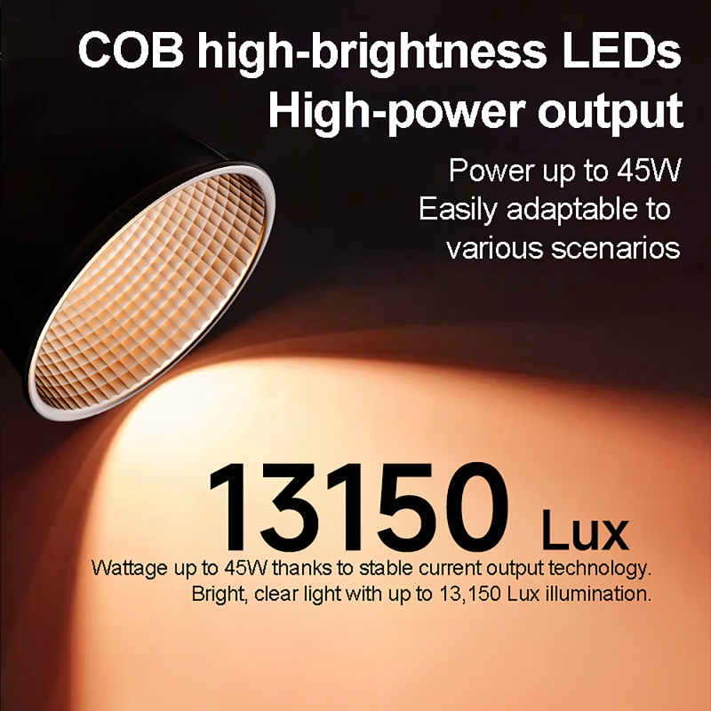 60W RGBビデオライト ポータブルLED撮影スタジオライ - Photography Lightning のレビューと価格